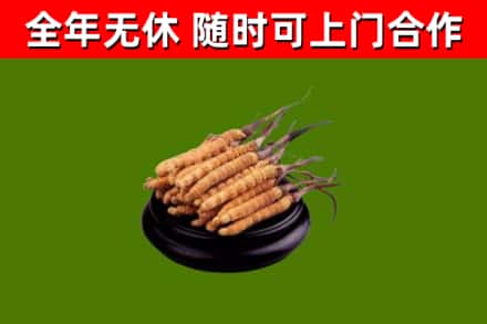 防城港市烟酒回收冬虫夏草.jpg